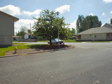 Accident Scene Photo, looking at visibility obstruction.